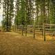 Whispering Pines Horse Camp