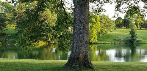 Little Patch of Heaven Campground
