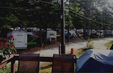 View showing multiple RVs and campsite rows among pine trees, electrical/utility poles visible — good depiction of the RV park layout and density (homepage slider context).