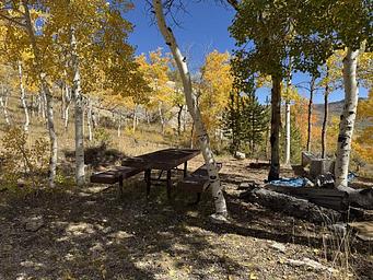 Currant Creek Guard Station, Loop: Currant Creek Guard Station