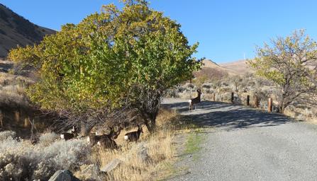 Spring Recreation Site