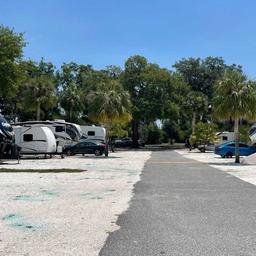 Wide view of an RV lane with parked RVs, palm trees and gravel sites — clear depiction of site types and park layout; from the Gallery (IMG_0086).
