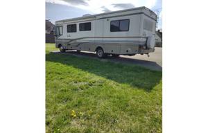 Woodland Bounder