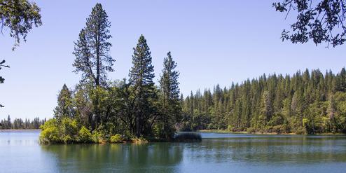 Lake Francis Resort