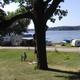 View of RVs and small cabins along the lakeshore with grassy foreground and a large tree — good depiction of campsite/RV pitch layout and waterfront sites.