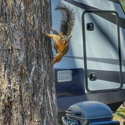 Pecan Park Riverside RV