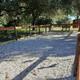 Image of a fenced dog park area with seating and shade — documents pet-friendly amenity and outdoor space on the property (Amenities page).