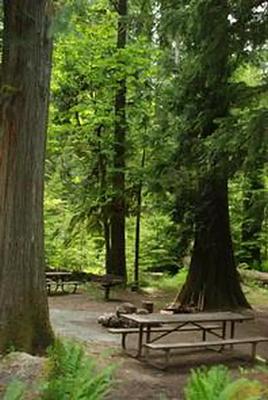 A001, Loop: AREA NORTH FORK BEAR GROUP