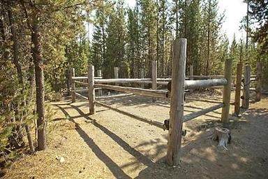 CULTUS CORRAL HORSE CAMP