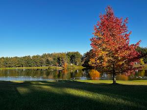 Rustic Lakes Campgrounds