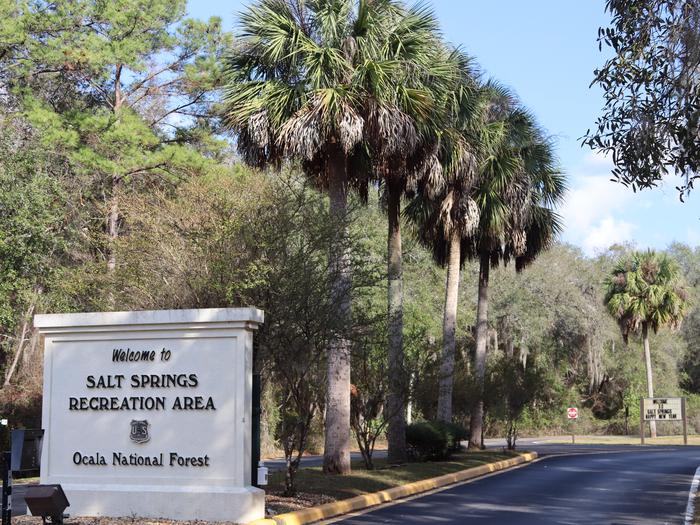 Salt Springs Recreation Area