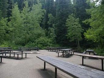 Spruces - Big Cottonwood