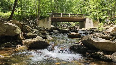 Curtis Creek Campground (NC)
