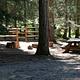 WILLOW PRAIRIE HORSECAMP