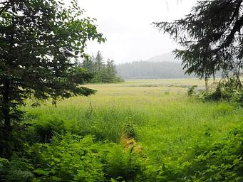 View of grassflats with mountains in the background