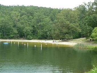 Chilhowee Beach Day Use Area