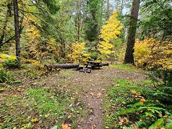 White Creek Campground in the fall