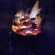 Campspot slideshow image 5