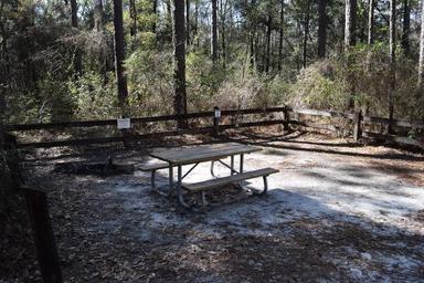 Campground image 3