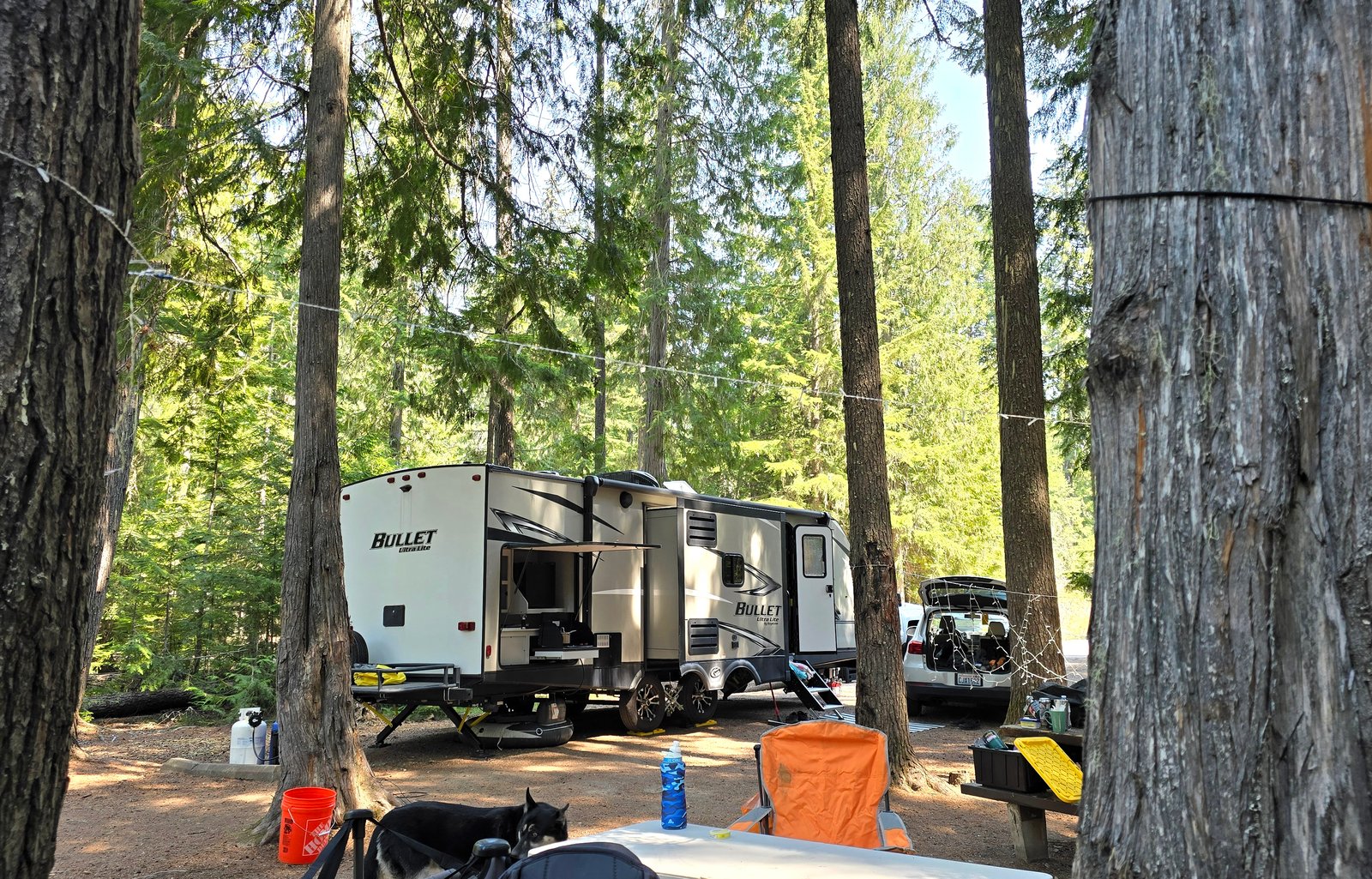 Wanderer- Inland NW Rentals'  Forest camp king!