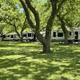 Clear ground-level view of multiple RVs parked on concrete pads beneath shade trees — shows typical RV site layout and tree cover; sourced from the resort homepage gallery.