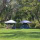 Camping scene: tent and canopy on grassy area, surrounded by trees.