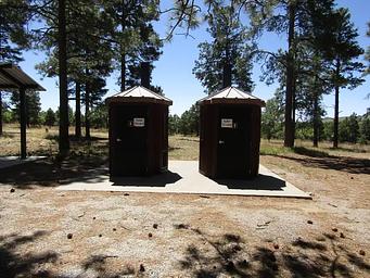 Vault toilets in front of tall pines