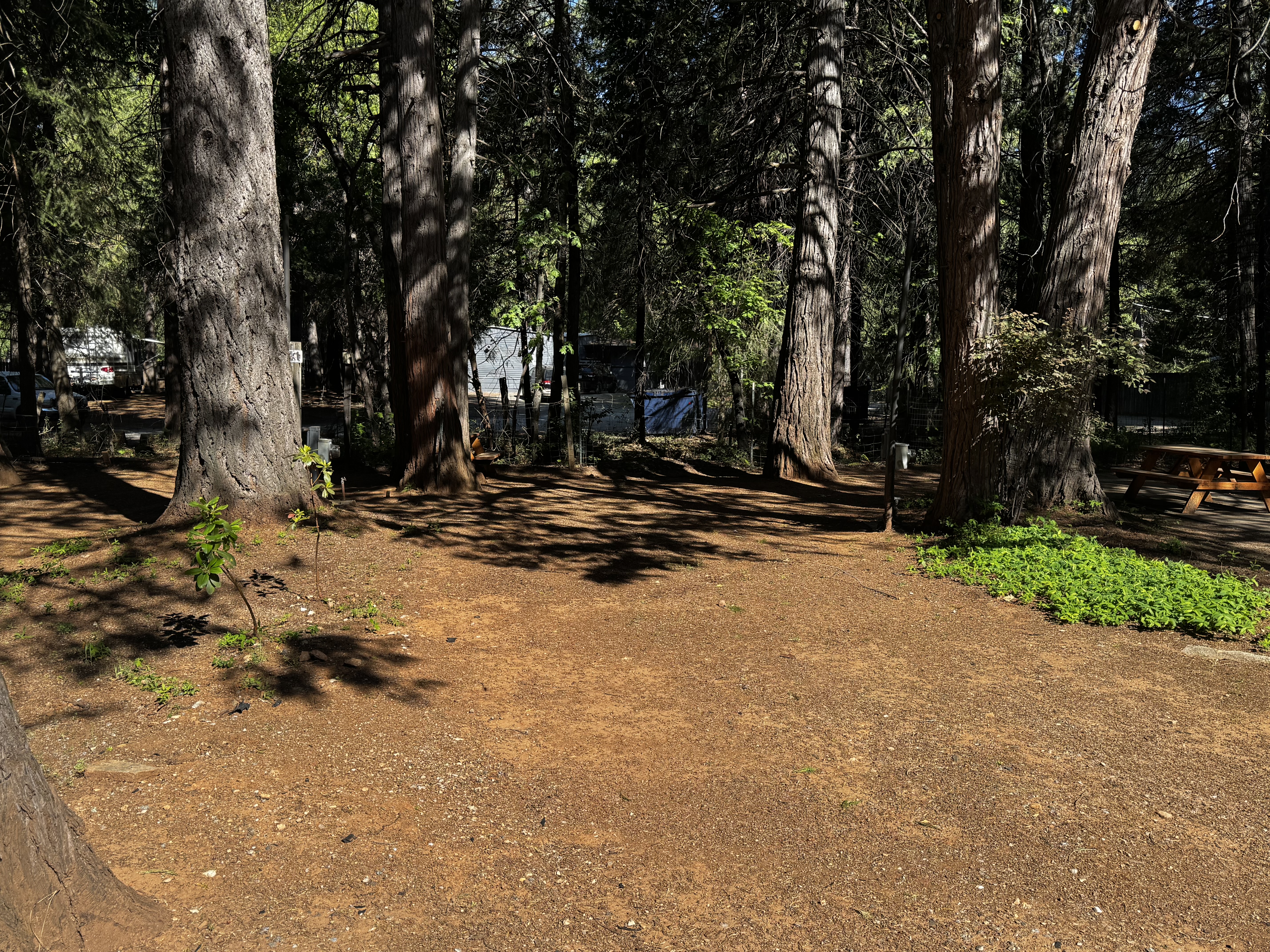 Fox Sparrow RV Resort and Campground