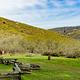 An image of a grassy meadow 2 picnic tables and bear lockers, and green hills in the distance.