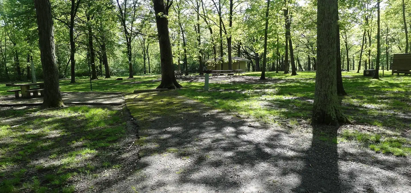 Shagbark Group Area
