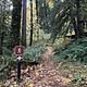 Trailhead sign to waterfall in the foreground with view of the paved trail.