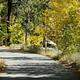 KIT CARSON CAMPGROUND