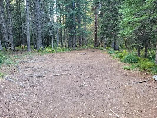001, Loop: AREA FISH CREEK GROUP USE