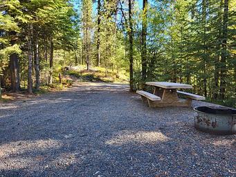 Campsite looking towards access road