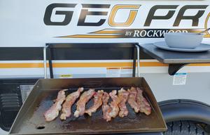 2022 Forest River RV Rockwood GEO Pro 19FD