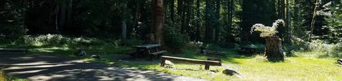 Blue Lake Creek Campground