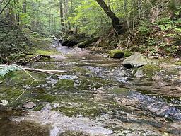 Chittenden Brook Campground