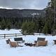 Benches around a campfire in the wintertime.