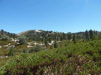 Shady Cove scenery