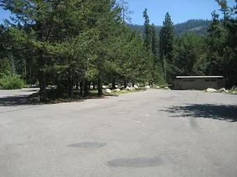Coyote Group