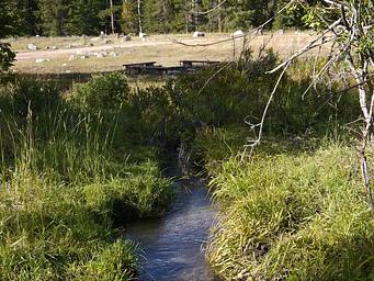 Creek near group area