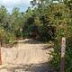Big Scrub OHV Trailhead 2