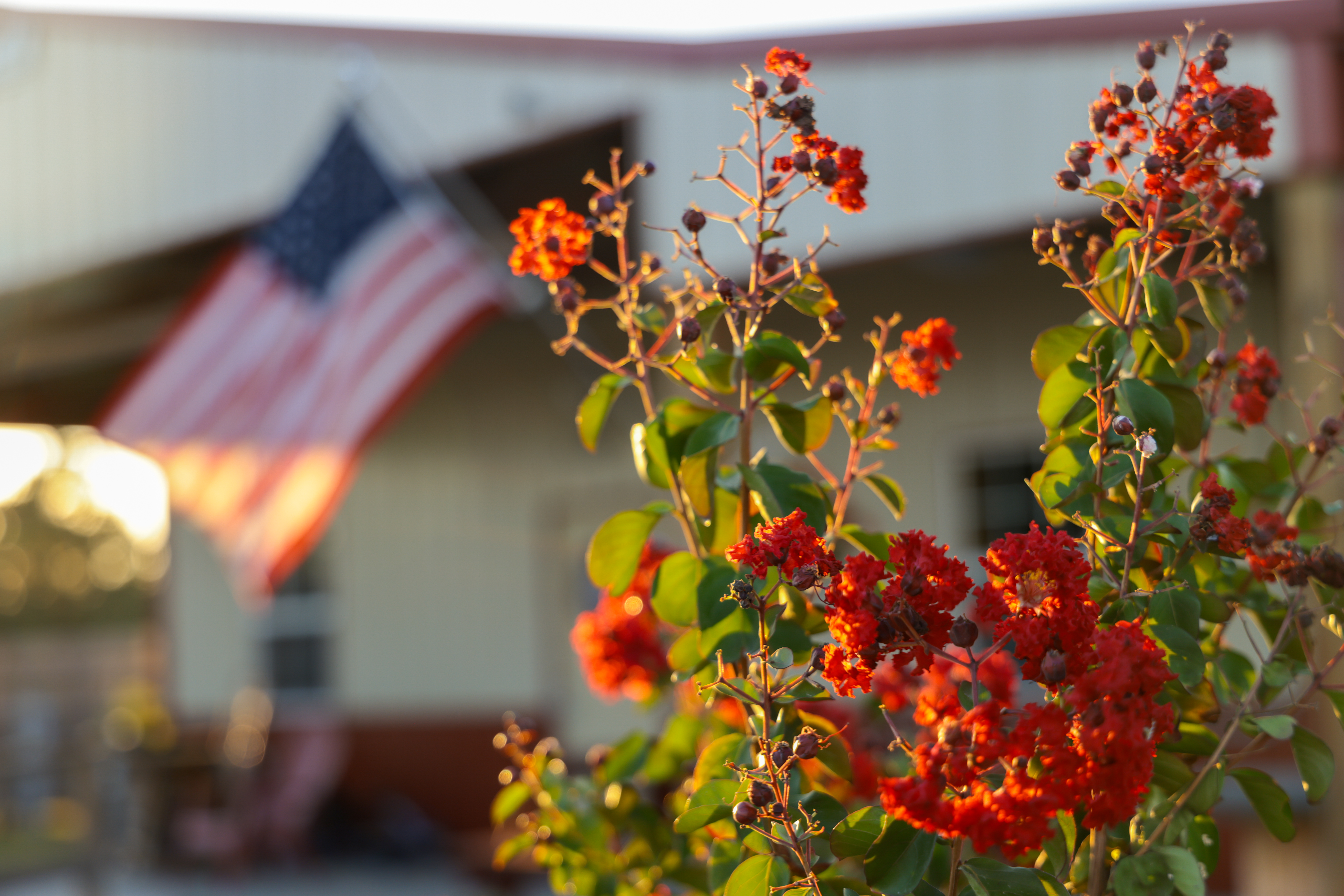 Terry's Country RV Park
