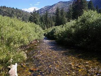 WILLOW FLAT CAMPGROUND