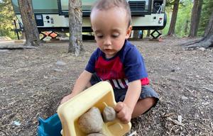 2016 Forest River RV R Pod RP-179