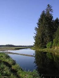 KAH SHEETS BAY CABIN11