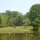 Panoramic view of the campground pond and surrounding wooded campsites — good overall site overview (header image on the property homepage).
