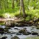 Alternate angle of the same creek showing rocky streambed and forested banks; from the campground's Photo Menu, useful for scenery variety.