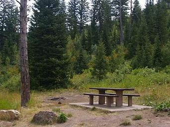 PORCUPINE (ID)