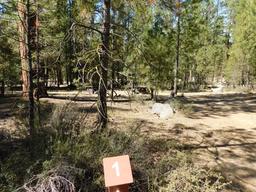 Pringle Falls Campground